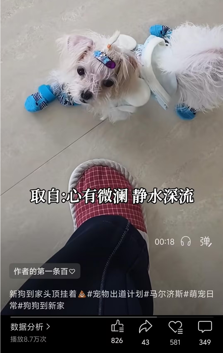 视频号爆款