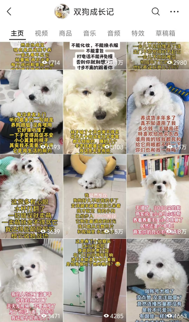 视频号作品矩阵
